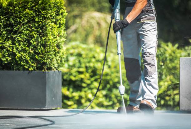 Animal Enclosure Cleaning in Orcutt, CA